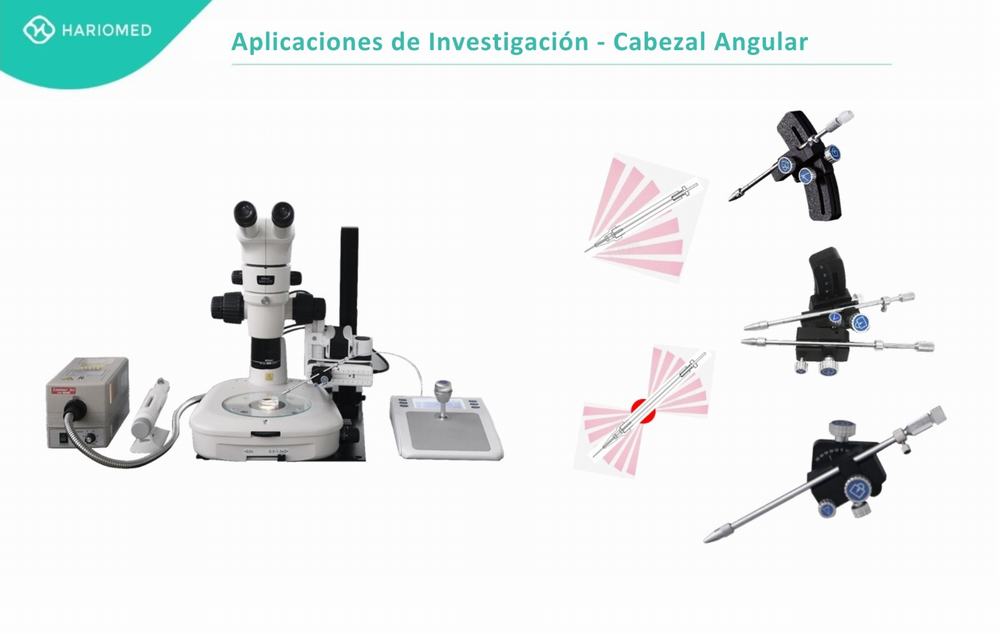 Microscopio estereoscópico - Cabezal Angular