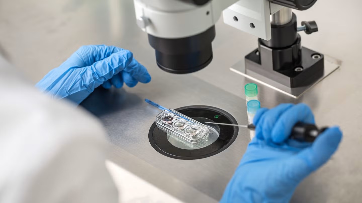 Embriólogo en un laboratorio de fertilidad realizando un procedimiento de Fecundación In Vitro (FIV). Con guantes azules, utiliza una micropipeta para manipular óvulos o embriones en una placa de cultivo bajo un microscopio de alta precisión.